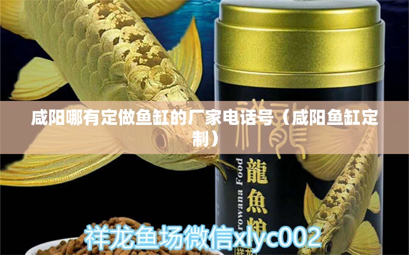 咸陽哪有定做魚缸的廠家電話號（咸陽魚缸定制）