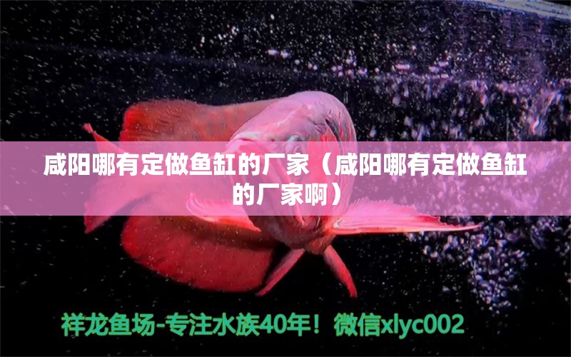 咸陽哪有定做魚缸的廠家（咸陽哪有定做魚缸的廠家?。?其他品牌魚缸