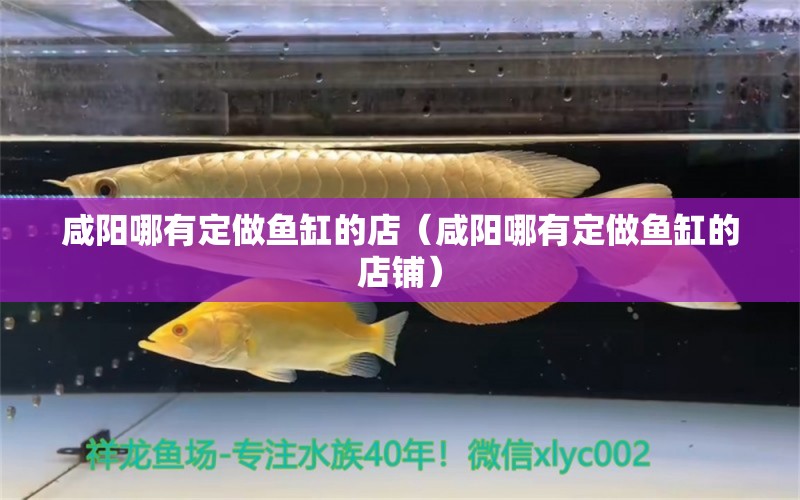 咸陽(yáng)哪有定做魚(yú)缸的店（咸陽(yáng)哪有定做魚(yú)缸的店鋪）