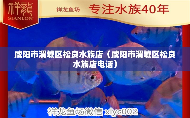 咸陽(yáng)市渭城區(qū)松良水族店（咸陽(yáng)市渭城區(qū)松良水族店電話）