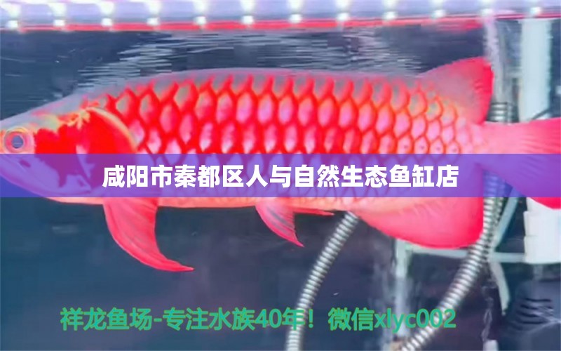 咸陽市秦都區(qū)人與自然生態(tài)魚缸店 全國水族館企業(yè)名錄