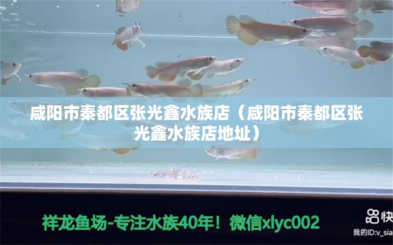 咸陽市秦都區(qū)張光鑫水族店（咸陽市秦都區(qū)張光鑫水族店地址） 全國水族館企業(yè)名錄