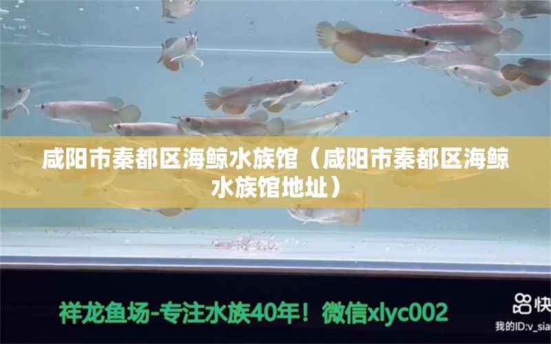 咸陽市秦都區(qū)海鯨水族館（咸陽市秦都區(qū)海鯨水族館地址）