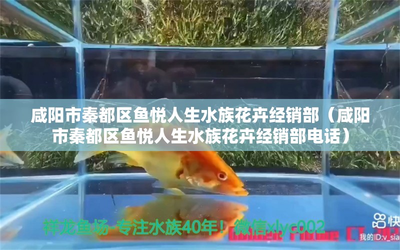 咸陽市秦都區(qū)魚悅人生水族花卉經銷部（咸陽市秦都區(qū)魚悅人生水族花卉經銷部電話）