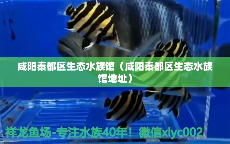 咸陽秦都區(qū)生態(tài)水族館（咸陽秦都區(qū)生態(tài)水族館地址） 全國水族館企業(yè)名錄