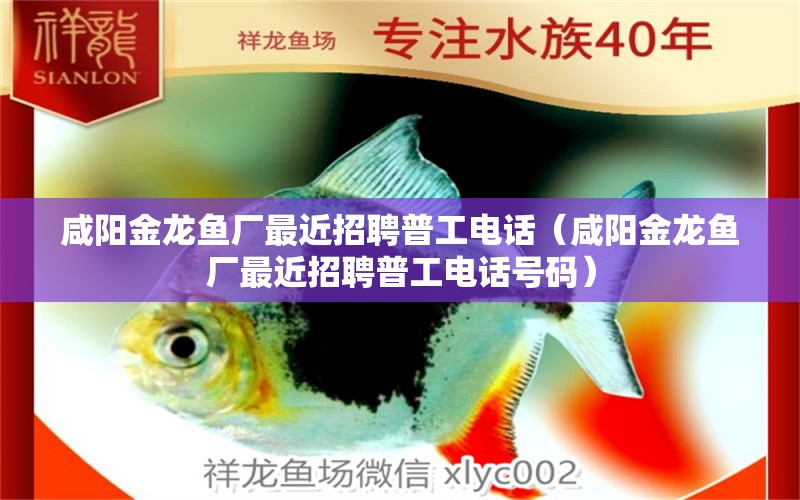 咸陽(yáng)金龍魚(yú)廠最近招聘普工電話（咸陽(yáng)金龍魚(yú)廠最近招聘普工電話號(hào)碼）