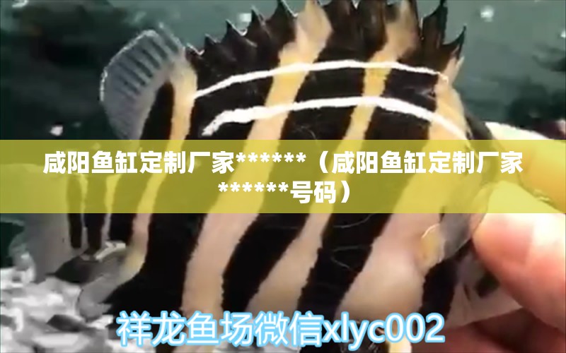 咸陽(yáng)魚(yú)缸定制廠家******（咸陽(yáng)魚(yú)缸定制廠家******號(hào)碼）