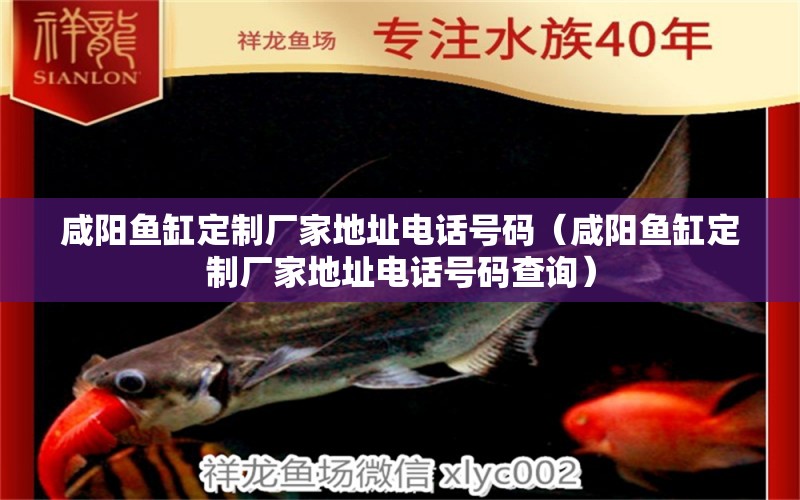 咸陽(yáng)魚(yú)缸定制廠家地址電話號(hào)碼（咸陽(yáng)魚(yú)缸定制廠家地址電話號(hào)碼查詢）