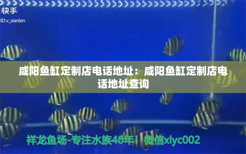 咸陽魚缸定制店電話地址：咸陽魚缸定制店電話地址查詢 養(yǎng)魚的好處