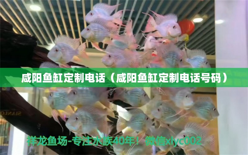 咸陽(yáng)魚缸定制電話（咸陽(yáng)魚缸定制電話號(hào)碼） 其他品牌魚缸