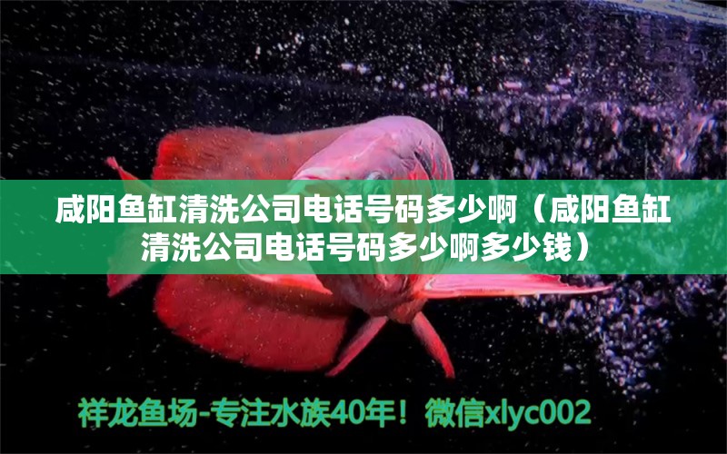 咸陽魚缸清洗公司電話號(hào)碼多少?。ㄏ剃桇~缸清洗公司電話號(hào)碼多少啊多少錢）