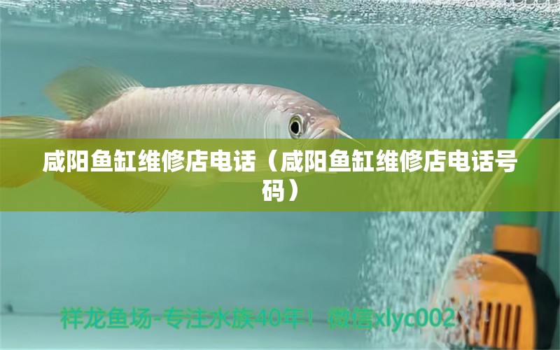 咸陽魚缸維修店電話（咸陽魚缸維修店電話號碼） 其他品牌魚缸