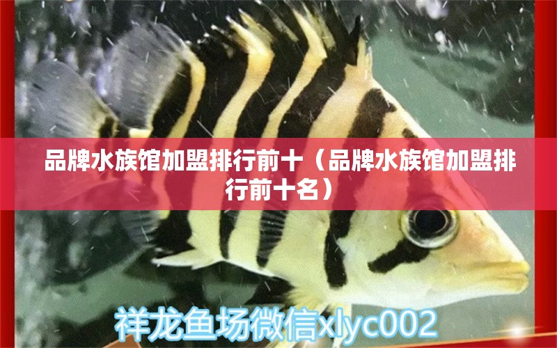 品牌水族館加盟排行前十（品牌水族館加盟排行前十名） 其他品牌魚缸