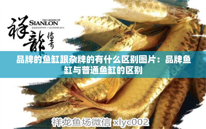 品牌的魚缸跟雜牌的有什么區(qū)別圖片：品牌魚缸與普通魚缸的區(qū)別