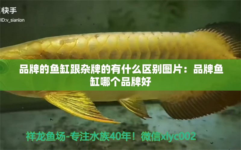 品牌的魚缸跟雜牌的有什么區(qū)別圖片：品牌魚缸哪個品牌好 水族維護服務(wù)（上門）