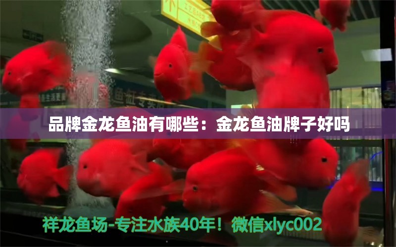 品牌金龍魚(yú)油有哪些：金龍魚(yú)油牌子好嗎 廣州龍魚(yú)批發(fā)市場(chǎng)