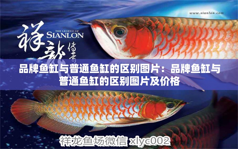 品牌魚缸與普通魚缸的區(qū)別圖片：品牌魚缸與普通魚缸的區(qū)別圖片及價格