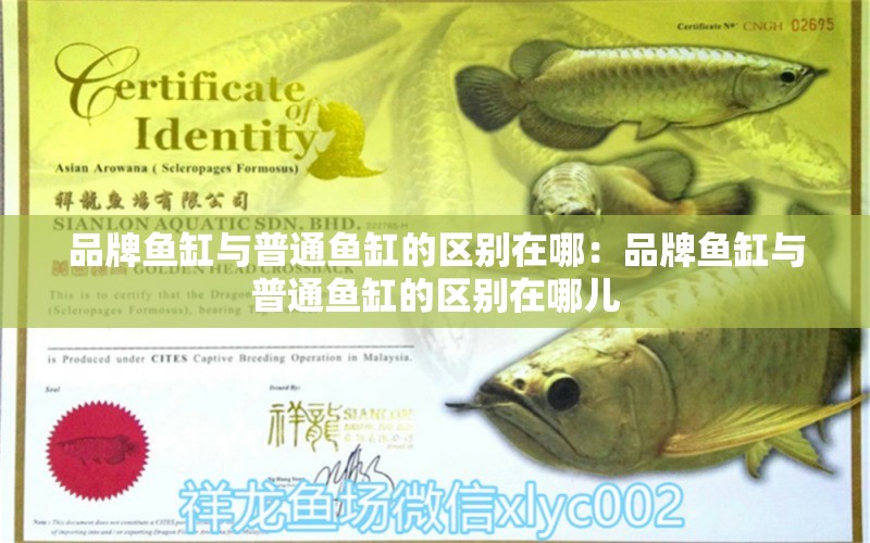 品牌魚缸與普通魚缸的區(qū)別在哪：品牌魚缸與普通魚缸的區(qū)別在哪兒 水族維護(hù)服務(wù)（上門）