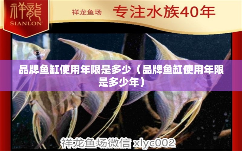 品牌魚缸使用年限是多少（品牌魚缸使用年限是多少年）