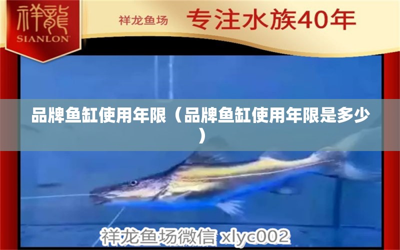 品牌魚缸使用年限（品牌魚缸使用年限是多少）