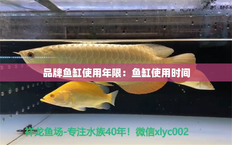 品牌魚缸使用年限：魚缸使用時(shí)間 廣州龍魚批發(fā)市場(chǎng)