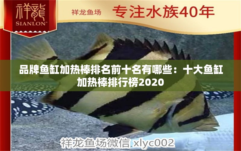 品牌魚缸加熱棒排名前十名有哪些：十大魚缸加熱棒排行榜2020 水族維護(hù)服務(wù)（上門）