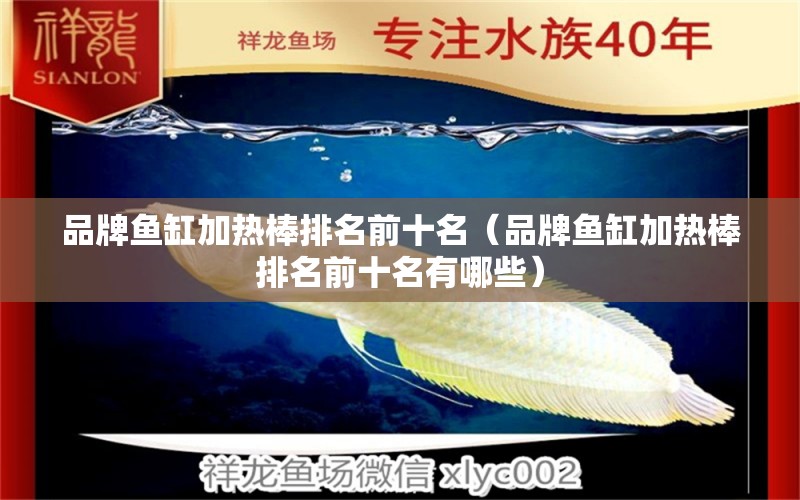 品牌魚缸加熱棒排名前十名（品牌魚缸加熱棒排名前十名有哪些） 其他品牌魚缸