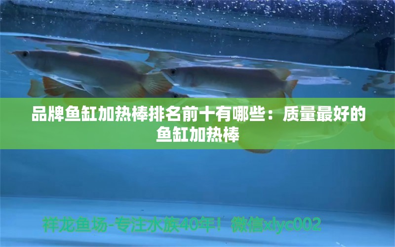 品牌魚缸加熱棒排名前十有哪些：質(zhì)量最好的魚缸加熱棒 廣州龍魚批發(fā)市場