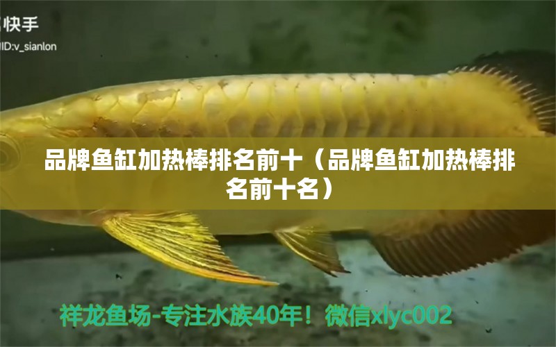 品牌魚(yú)缸加熱棒排名前十（品牌魚(yú)缸加熱棒排名前十名）