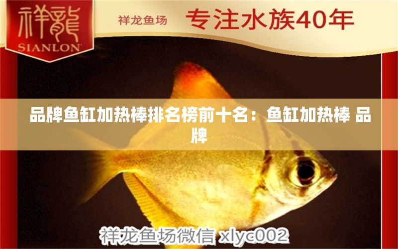 品牌魚(yú)缸加熱棒排名榜前十名：魚(yú)缸加熱棒 品牌