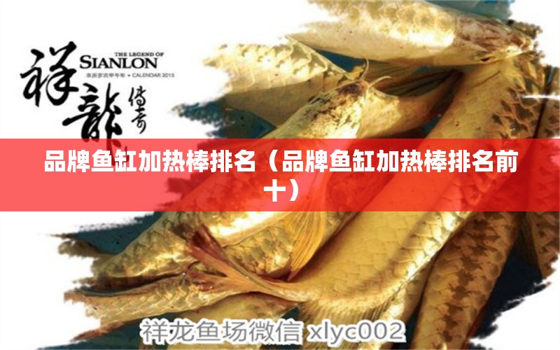 品牌魚缸加熱棒排名（品牌魚缸加熱棒排名前十）