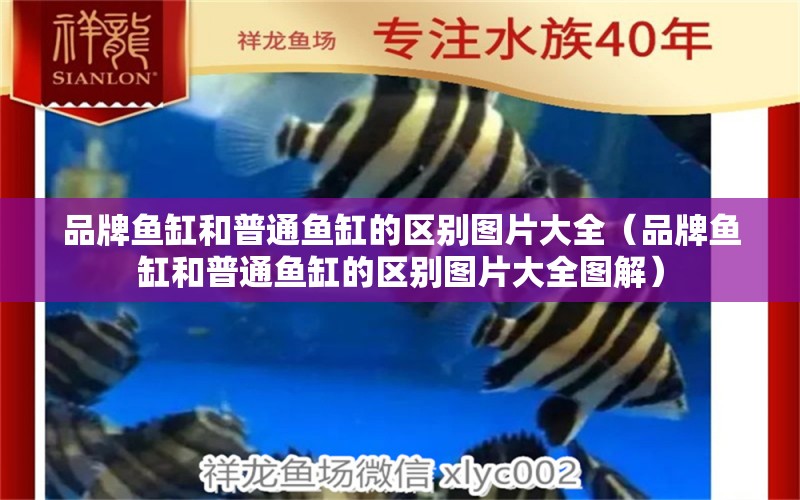 品牌魚缸和普通魚缸的區(qū)別圖片大全（品牌魚缸和普通魚缸的區(qū)別圖片大全圖解）