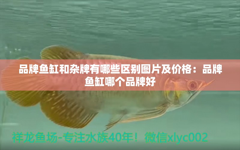 品牌魚缸和雜牌有哪些區(qū)別圖片及價(jià)格：品牌魚缸哪個(gè)品牌好