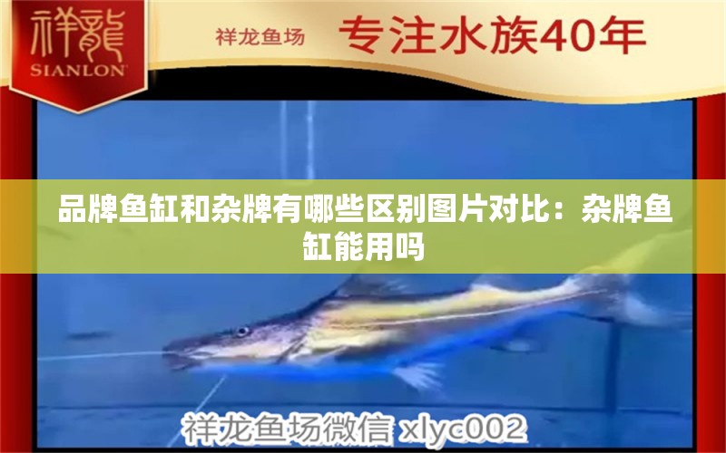 品牌魚缸和雜牌有哪些區(qū)別圖片對比：雜牌魚缸能用嗎 廣州龍魚批發(fā)市場