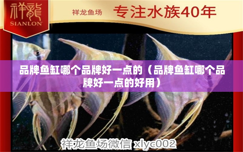 品牌魚缸哪個品牌好一點的（品牌魚缸哪個品牌好一點的好用）