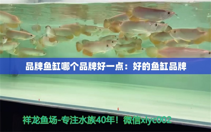 品牌魚缸哪個(gè)品牌好一點(diǎn)：好的魚缸品牌