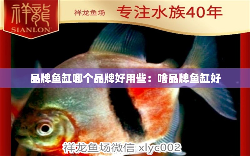 品牌魚缸哪個品牌好用些：啥品牌魚缸好