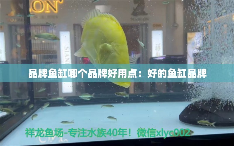 品牌魚缸哪個(gè)品牌好用點(diǎn)：好的魚缸品牌