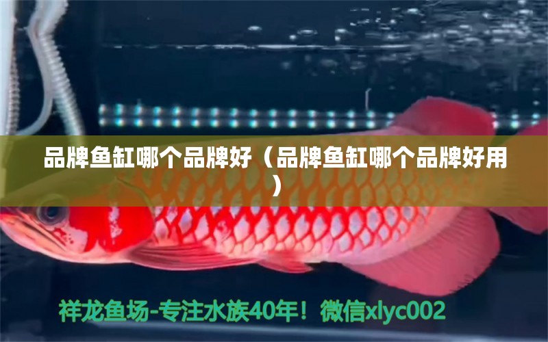 品牌魚缸哪個品牌好（品牌魚缸哪個品牌好用） iwish愛唯希品牌魚缸