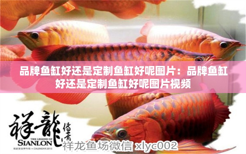 品牌魚缸好還是定制魚缸好呢圖片：品牌魚缸好還是定制魚缸好呢圖片視頻