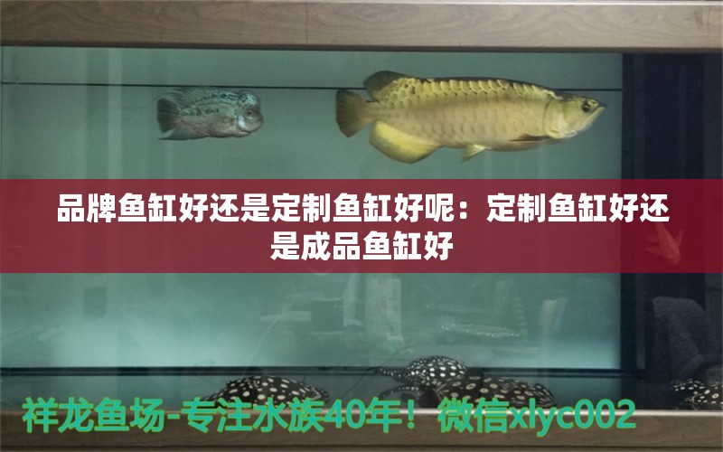 品牌魚缸好還是定制魚缸好呢：定制魚缸好還是成品魚缸好