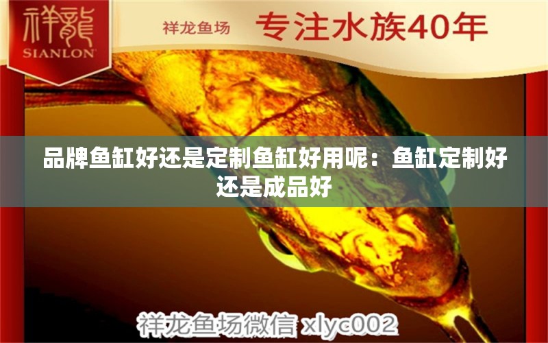 品牌魚(yú)缸好還是定制魚(yú)缸好用呢：魚(yú)缸定制好還是成品好