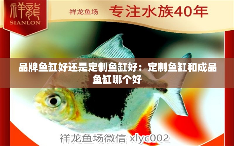 品牌魚(yú)缸好還是定制魚(yú)缸好：定制魚(yú)缸和成品魚(yú)缸哪個(gè)好