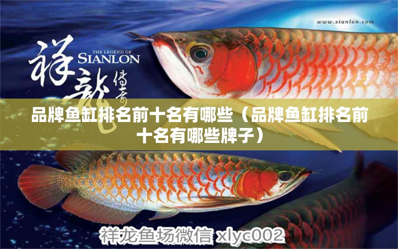 品牌魚缸排名前十名有哪些（品牌魚缸排名前十名有哪些牌子）