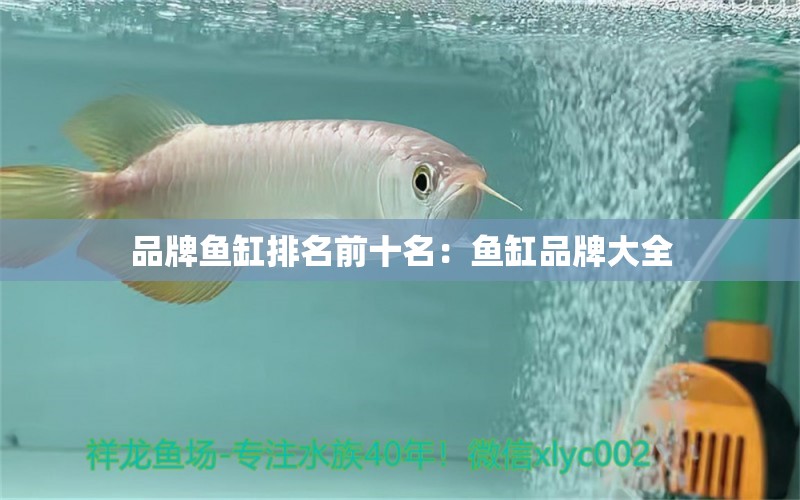 品牌魚缸排名前十名：魚缸品牌大全 水族維護(hù)服務(wù)（上門）