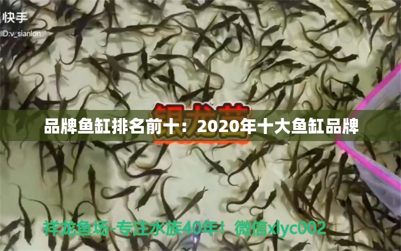 品牌魚缸排名前十：2020年十大魚缸品牌