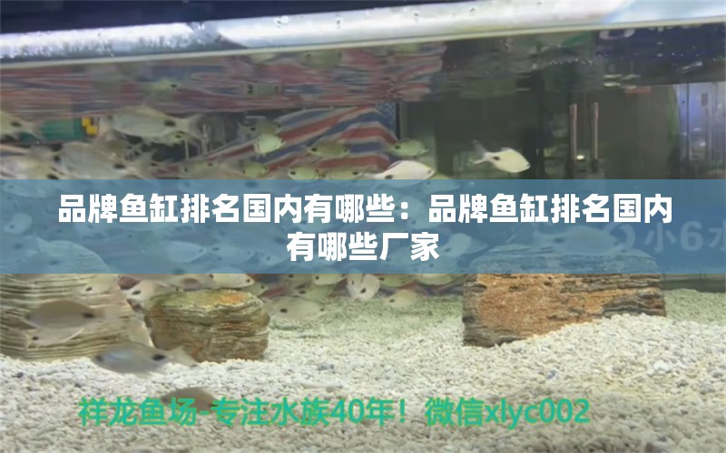 品牌魚缸排名國內(nèi)有哪些：品牌魚缸排名國內(nèi)有哪些廠家