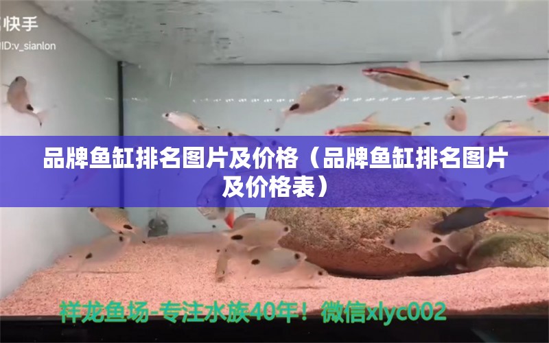 品牌魚缸排名圖片及價格（品牌魚缸排名圖片及價格表）