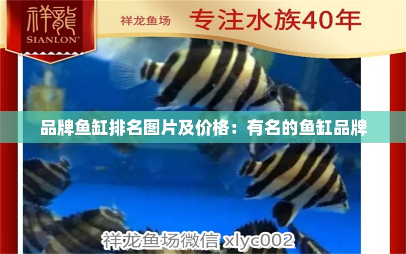 品牌魚缸排名圖片及價(jià)格：有名的魚缸品牌