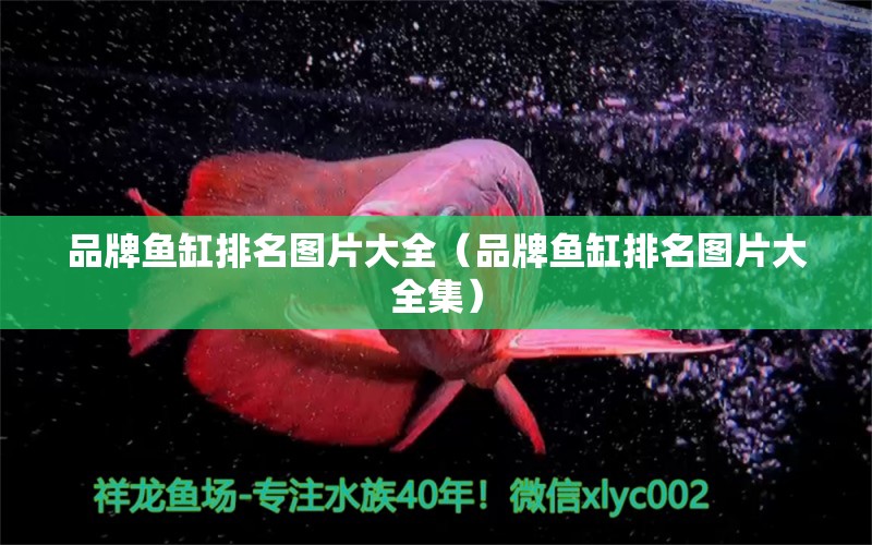 品牌魚缸排名圖片大全（品牌魚缸排名圖片大全集）